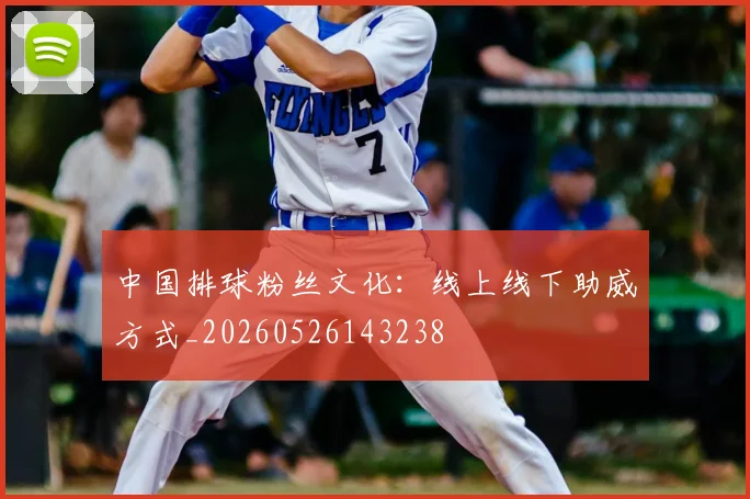 中国排球粉丝文化:线上线下助威方式_20260526143238